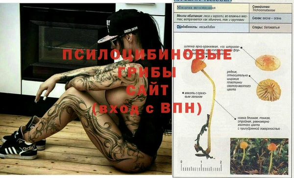 гашишное масло Абинск