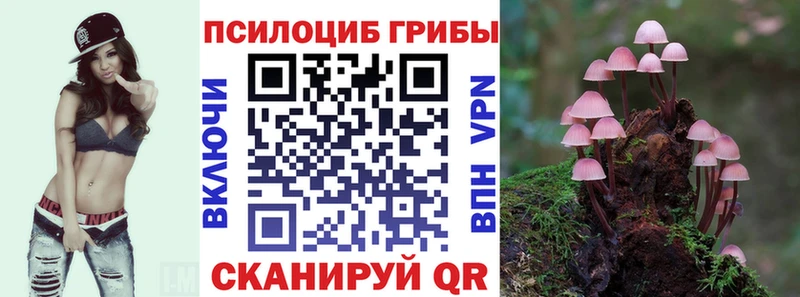 гидра ссылки  Александров  Псилоцибиновые грибы Psilocybe 